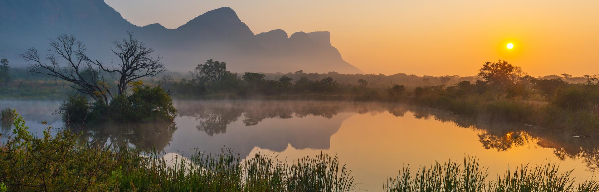 Pond surrounded by grassy plants at sunrise,